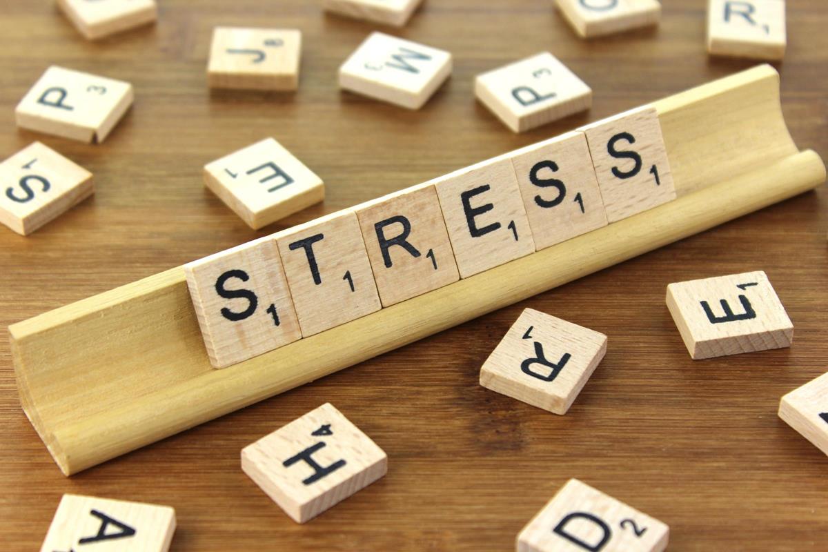 Effects of Stress on Your Body